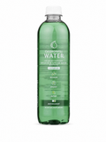 Chlorophyll Water Chlorophyll Purified Water 16.9 oz