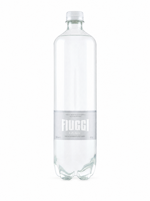 Fiuggi Still Spring Water 500 ml (Plastic)
