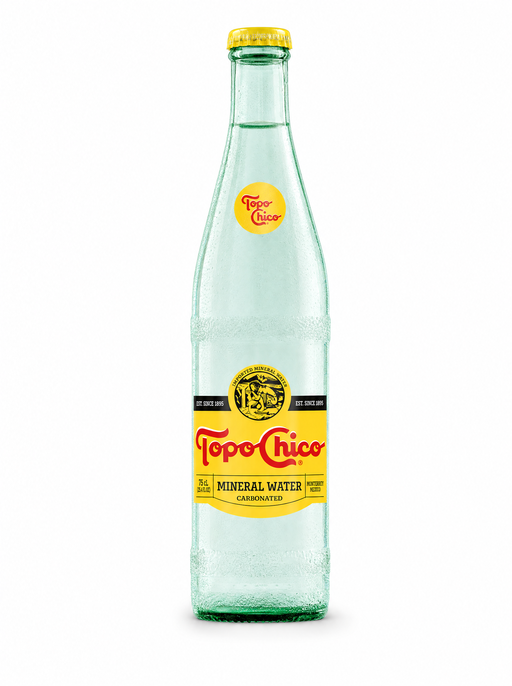 Topo Chico Sparkling Mineral Water 750 ml