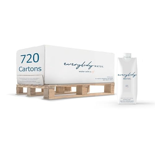 Everybody Water Boxed Spring Water 16.9 oz